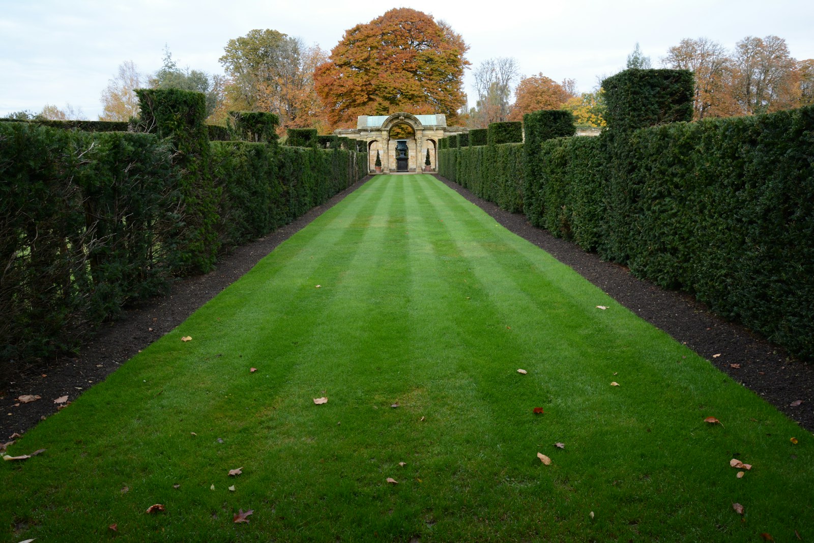Long, well-kept lawn with shaped hedges along the property line — a maintained suburban yard.